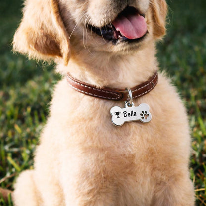 Médaille pour chien