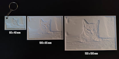 Souvenir et photo Lithophanie