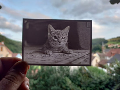 Souvenir et photo Lithophanie
