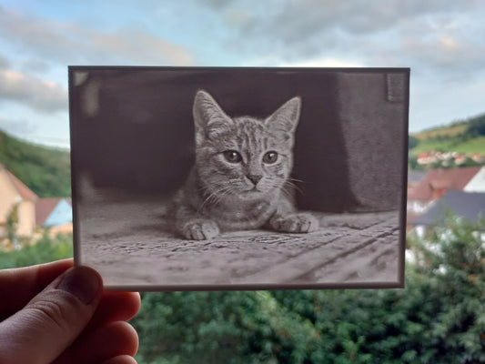 Souvenir et photo Lithophanie